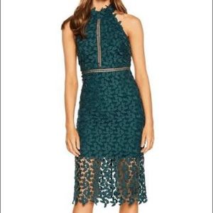 Bardot Gemma Halter Lace Sheath Dress. Size S.